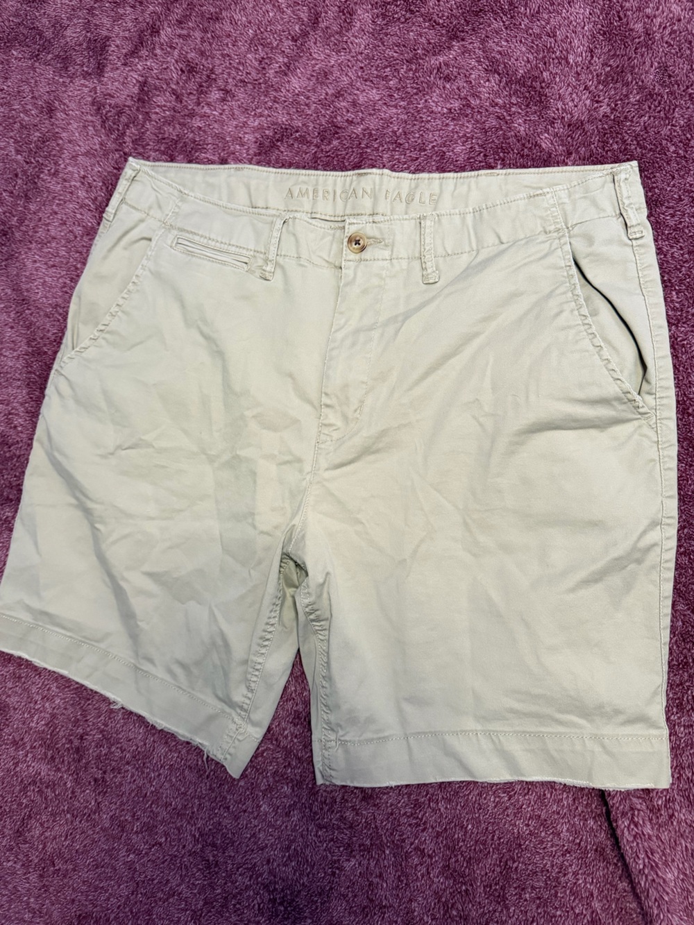 American Eagle Outfitters Light Khaki Men's Shorts